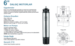 Alarko DONGYIN 6HC 5.5HP 4kw Dalgıç Motor